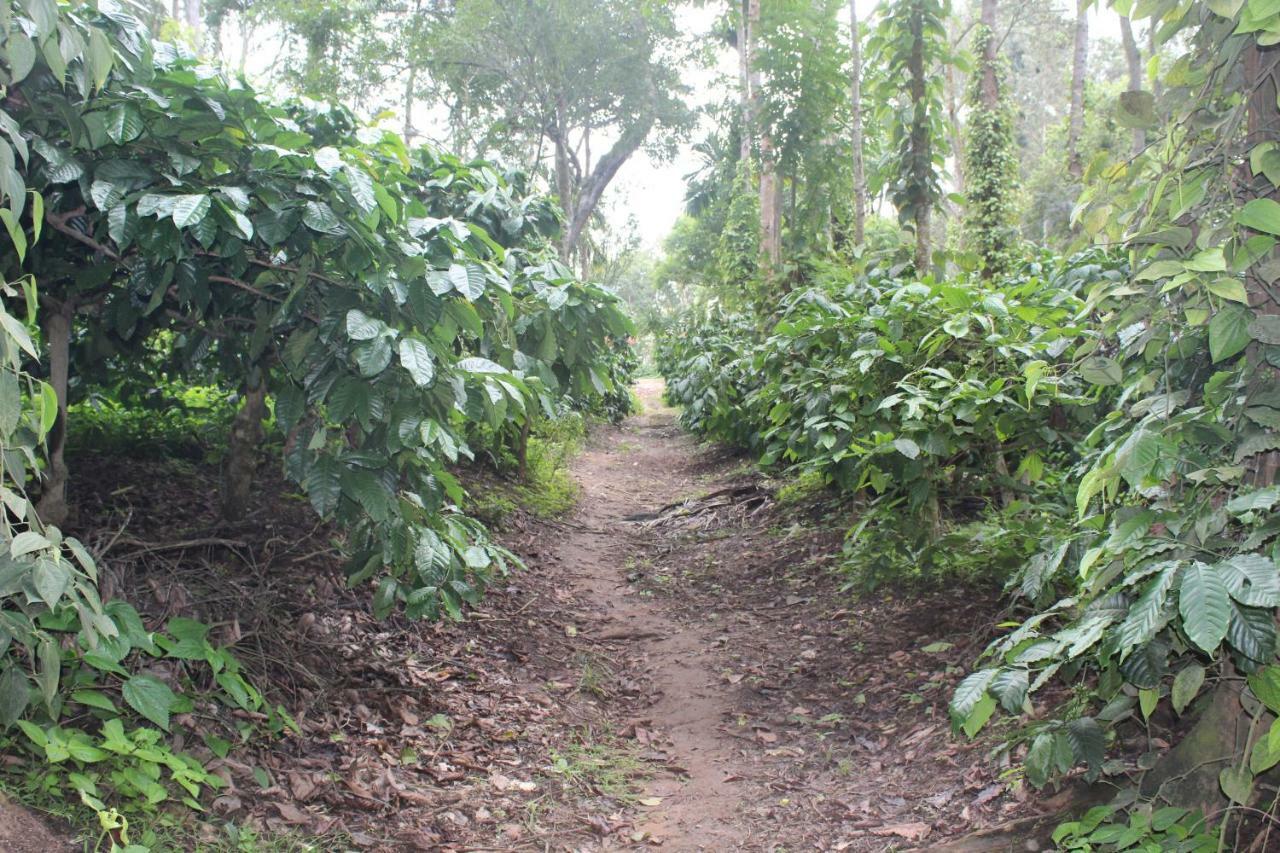 Whistling Woods Farm Stay Kushālnagar Exterior foto